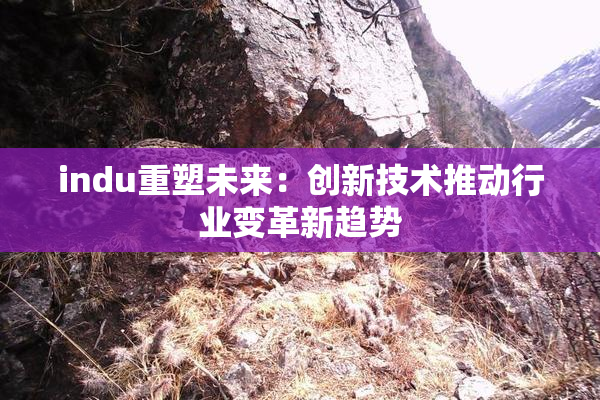 indu重塑未来：创新技术推动行业变革新趋势