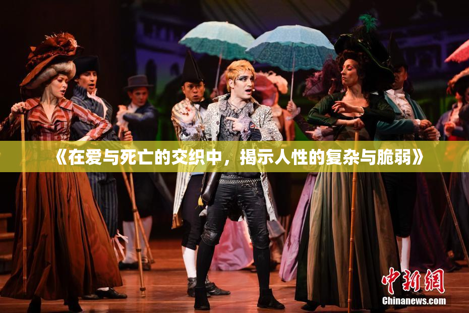 《在爱与死亡的交织中，揭示人性的复杂与脆弱》