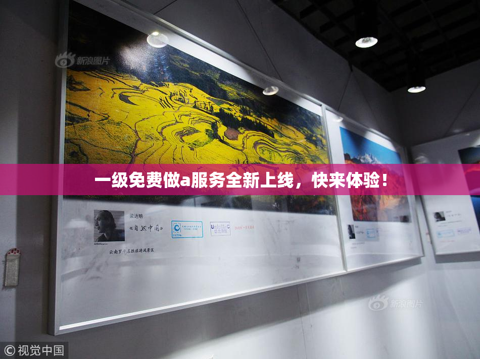 一级免费做a服务全新上线，快来体验！