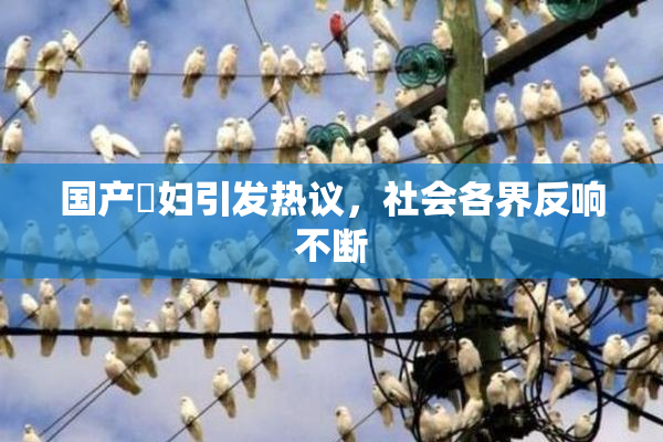 国产婬妇引发热议，社会各界反响不断