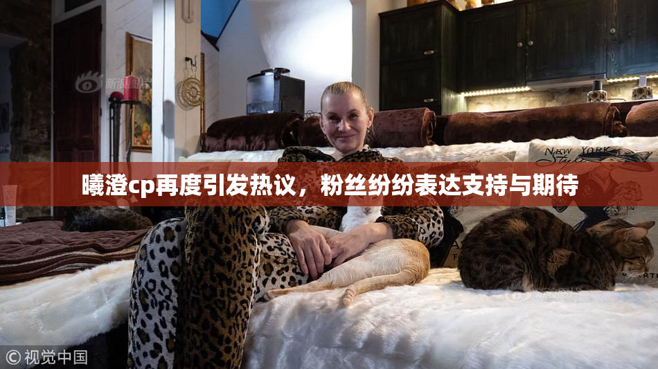曦澄cp再度引发热议，粉丝纷纷表达支持与期待