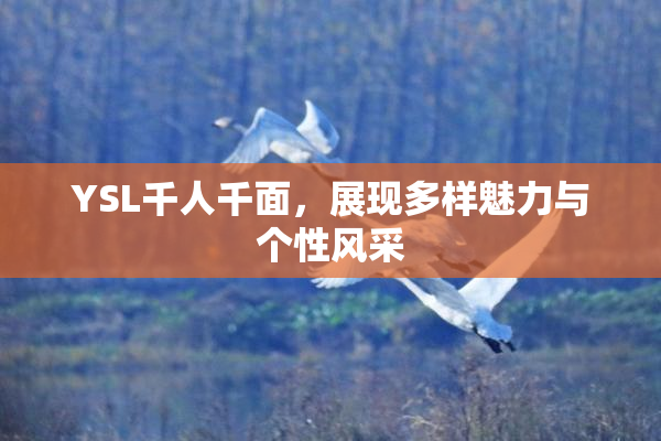 YSL千人千面，展现多样魅力与个性风采