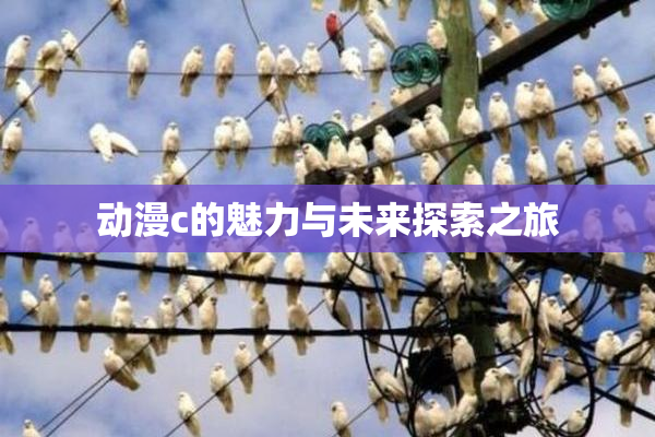 动漫c的魅力与未来探索之旅