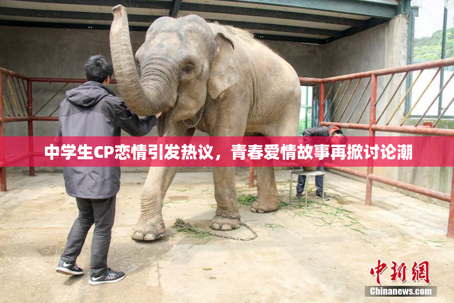 中学生CP恋情引发热议，青春爱情故事再掀讨论潮