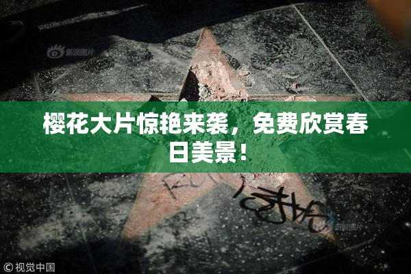 樱花大片惊艳来袭，免费欣赏春日美景！