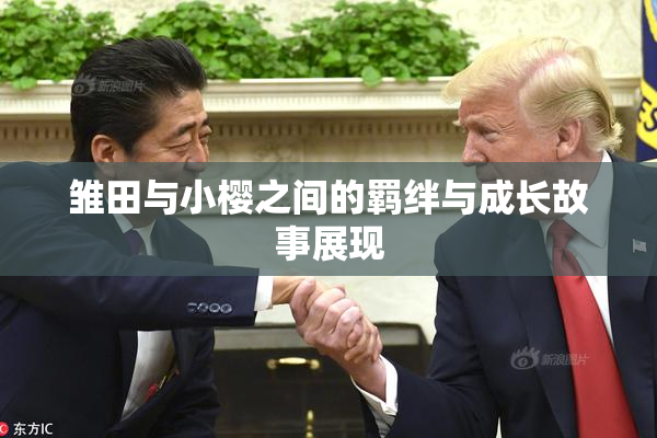 雏田与小樱之间的羁绊与成长故事展现