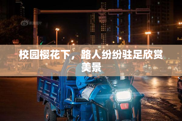 校园樱花下，路人纷纷驻足欣赏美景