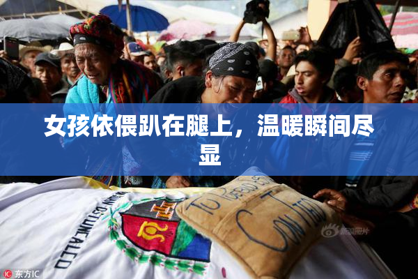 女孩依偎趴在腿上，温暖瞬间尽显