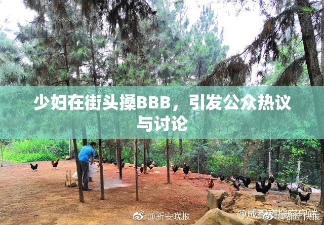 少妇在街头搡BBB，引发公众热议与讨论