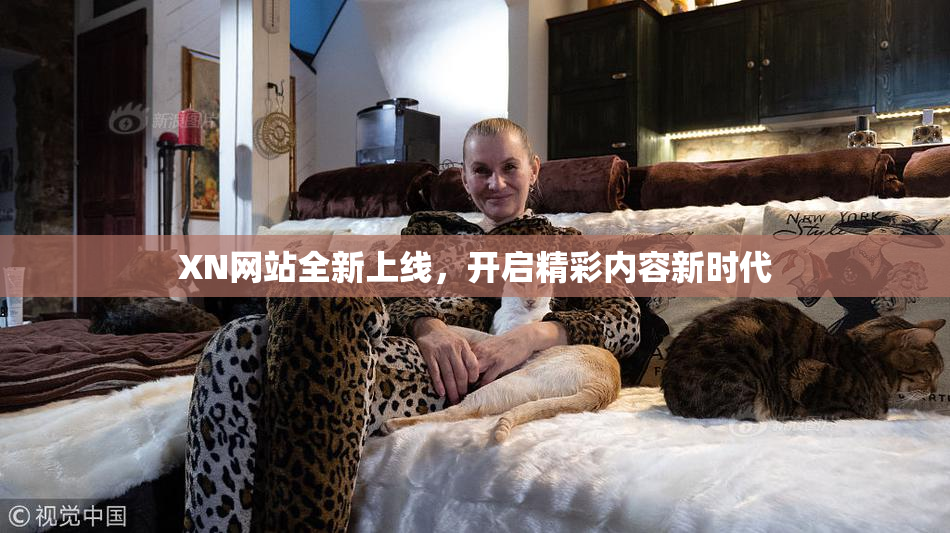 XN网站全新上线，开启精彩内容新时代