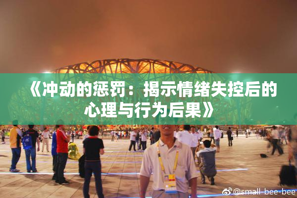 《冲动的惩罚：揭示情绪失控后的心理与行为后果》