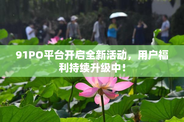 91PO平台开启全新活动，用户福利持续升级中！