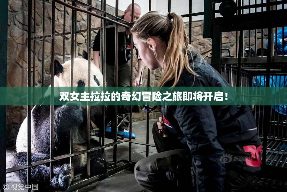 双女主拉拉的奇幻冒险之旅即将开启！
