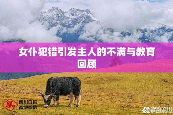 女仆犯错引发主人的不满与教育回顾