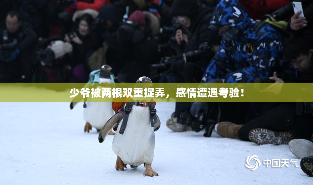 少爷被两根双重捉弄，感情遭遇考验！