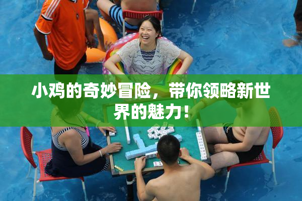 小鸡的奇妙冒险，带你领略新世界的魅力！