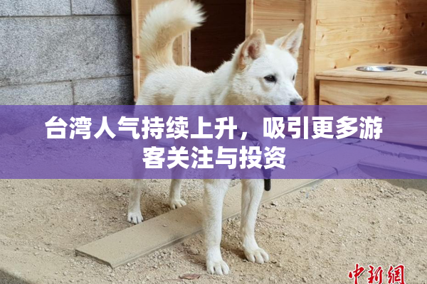 台湾人气持续上升，吸引更多游客关注与投资