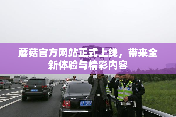 蘑菇官方网站正式上线，带来全新体验与精彩内容