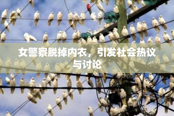 女警察脱掉内衣，引发社会热议与讨论