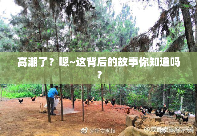高潮了？嗯~这背后的故事你知道吗？
