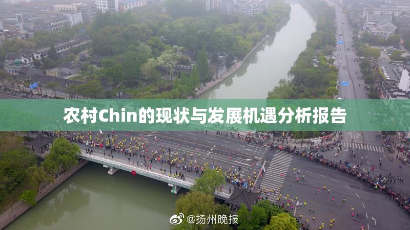 农村Chin的现状与发展机遇分析报告