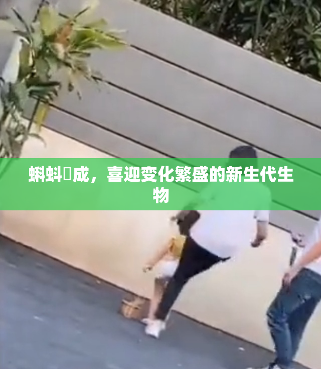 蝌蚪窉成，喜迎变化繁盛的新生代生物