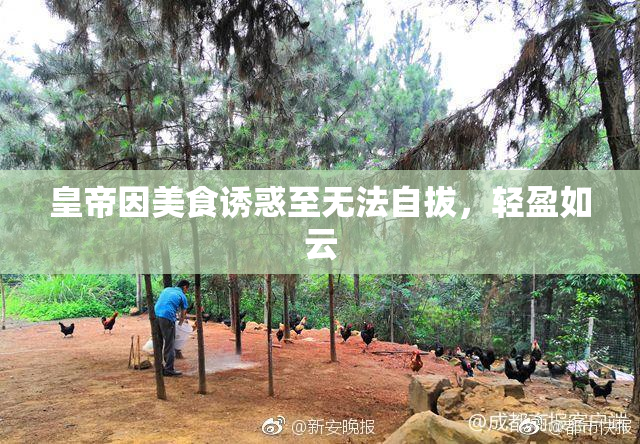 皇帝因美食诱惑至无法自拔，轻盈如云