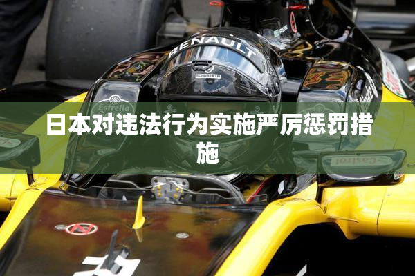 日本对违法行为实施严厉惩罚措施
