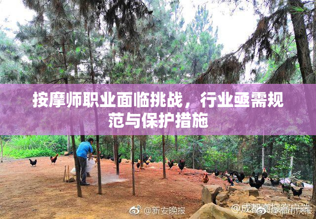 按摩师职业面临挑战，行业亟需规范与保护措施