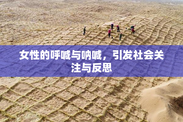 女性的呼喊与呐喊，引发社会关注与反思