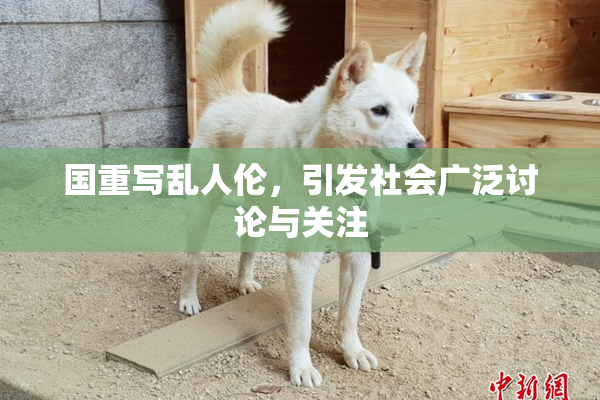 国重写乱人伦，引发社会广泛讨论与关注