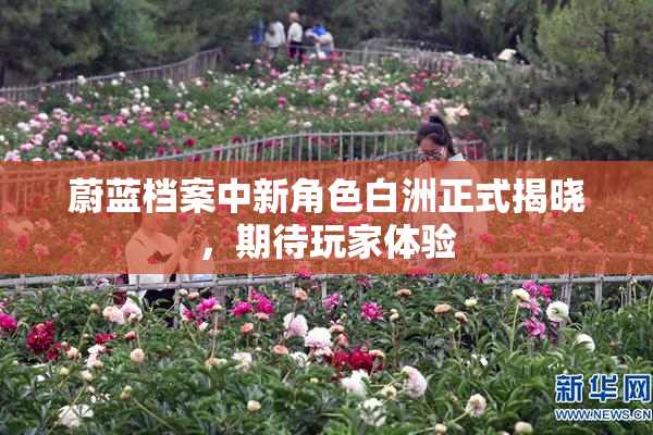 蔚蓝档案中新角色白洲正式揭晓，期待玩家体验