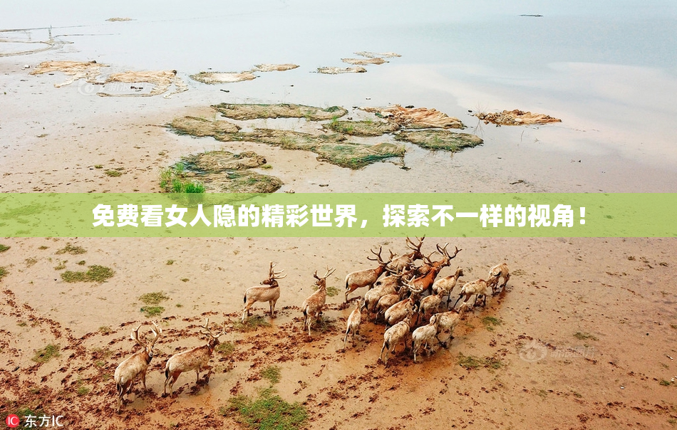 免费看女人隐的精彩世界，探索不一样的视角！