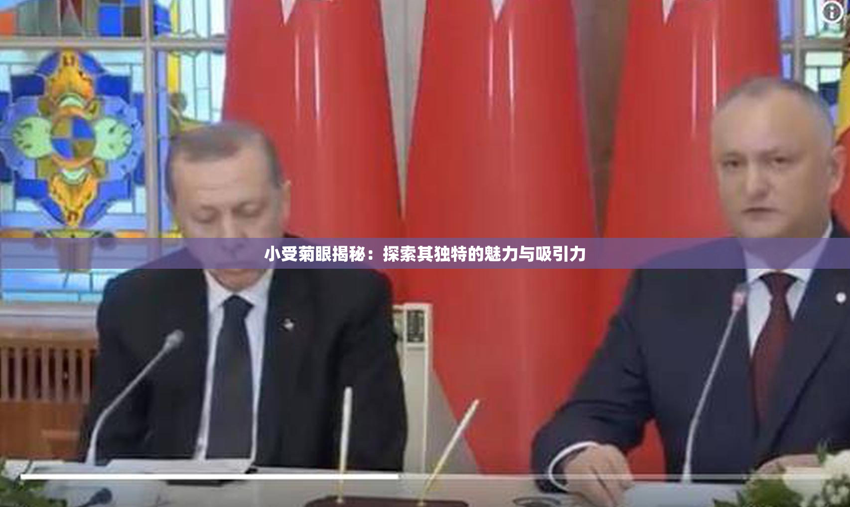 小受菊眼揭秘：探索其独特的魅力与吸引力