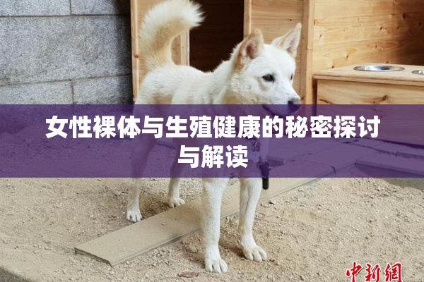 女性裸体与生殖健康的秘密探讨与解读