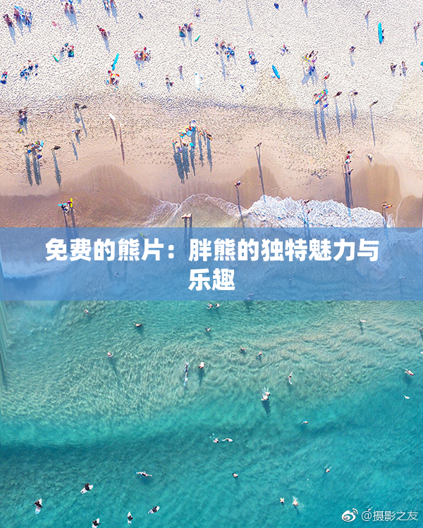 免费的熊片：胖熊的独特魅力与乐趣