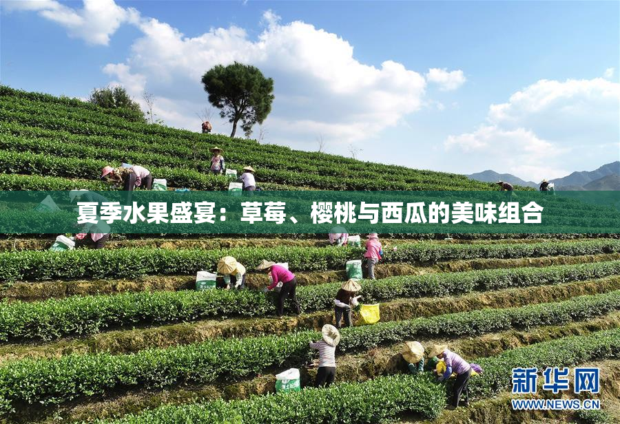 夏季水果盛宴：草莓、樱桃与西瓜的美味组合