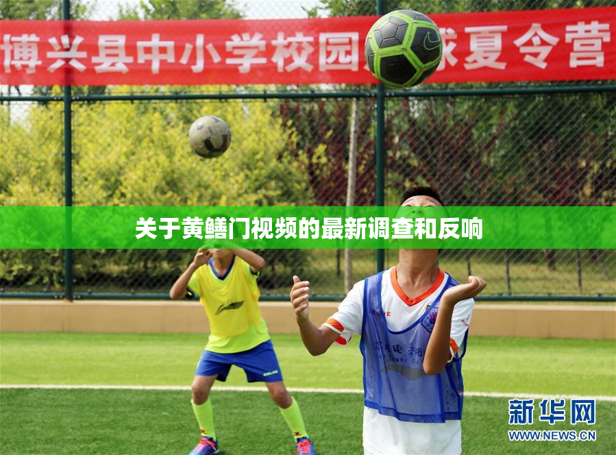 关于黄鳝门视频的最新调查和反响