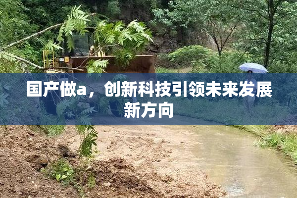 国产做a，创新科技引领未来发展新方向