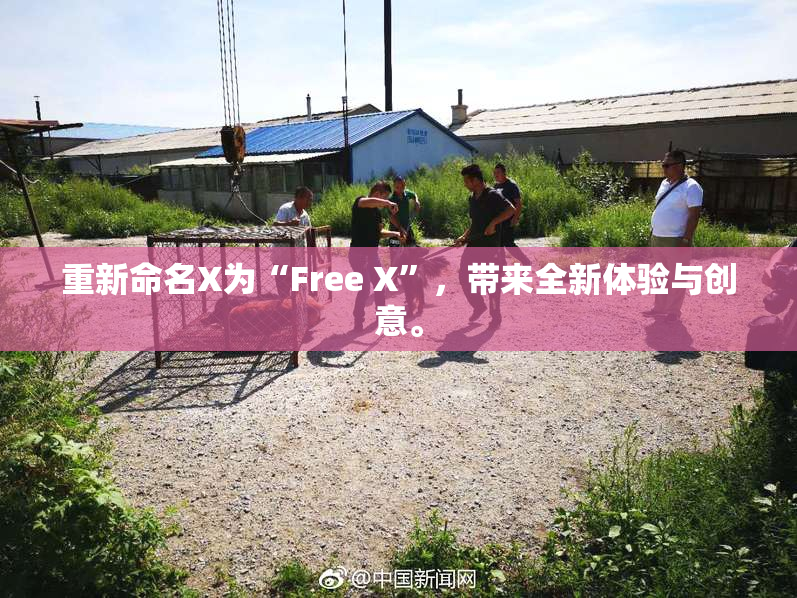 重新命名X为“Free X”，带来全新体验与创意。