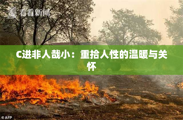 C进非人哉小：重拾人性的温暖与关怀