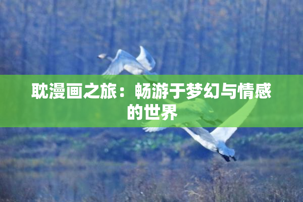 耽漫画之旅：畅游于梦幻与情感的世界
