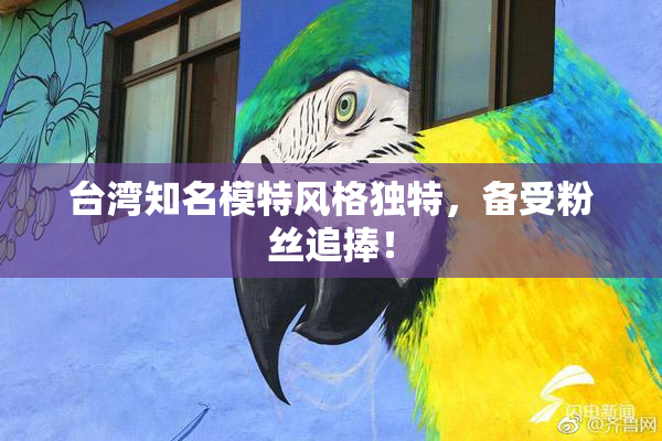 台湾知名模特风格独特，备受粉丝追捧！