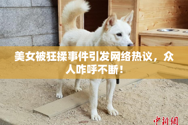 美女被狂揉事件引发网络热议，众人咋呼不断！