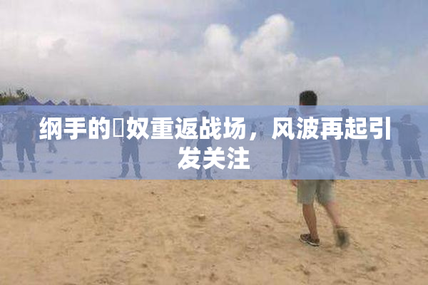 纲手的婬奴重返战场，风波再起引发关注