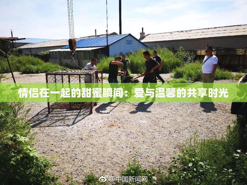 情侣在一起的甜蜜瞬间：爱与温馨的共享时光