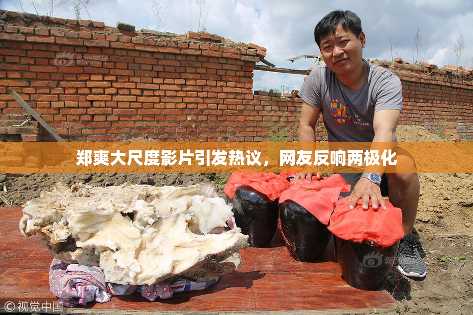 郑爽大尺度影片引发热议，网友反响两极化