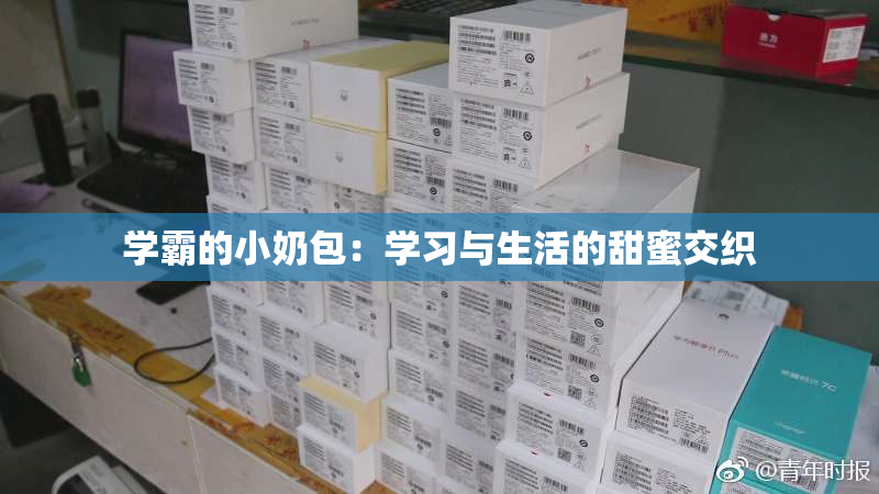 学霸的小奶包：学习与生活的甜蜜交织