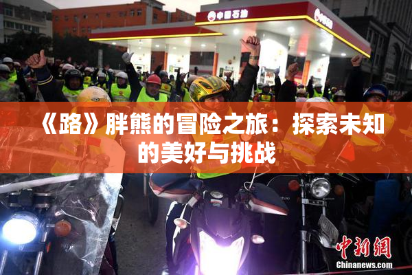 《路》胖熊的冒险之旅：探索未知的美好与挑战