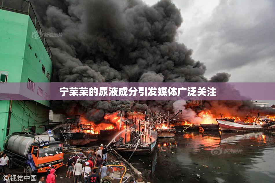 宁荣荣的尿液成分引发媒体广泛关注